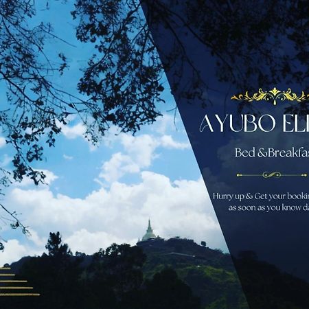 Ayubo Ella - Bed & Breakfast Exterior foto